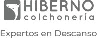 logo hiberno